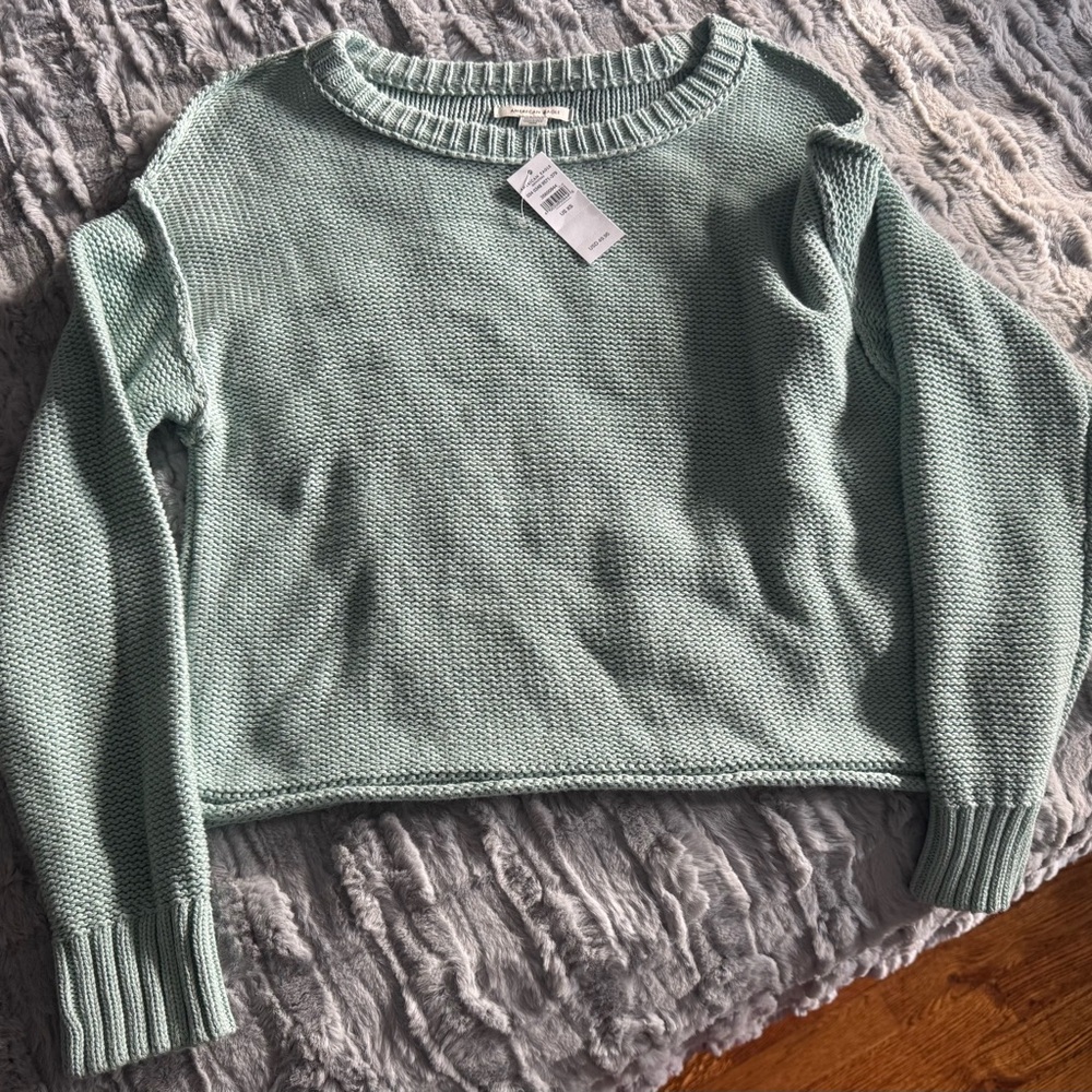 American Eagle Outfitters Light Green Women's Sweater